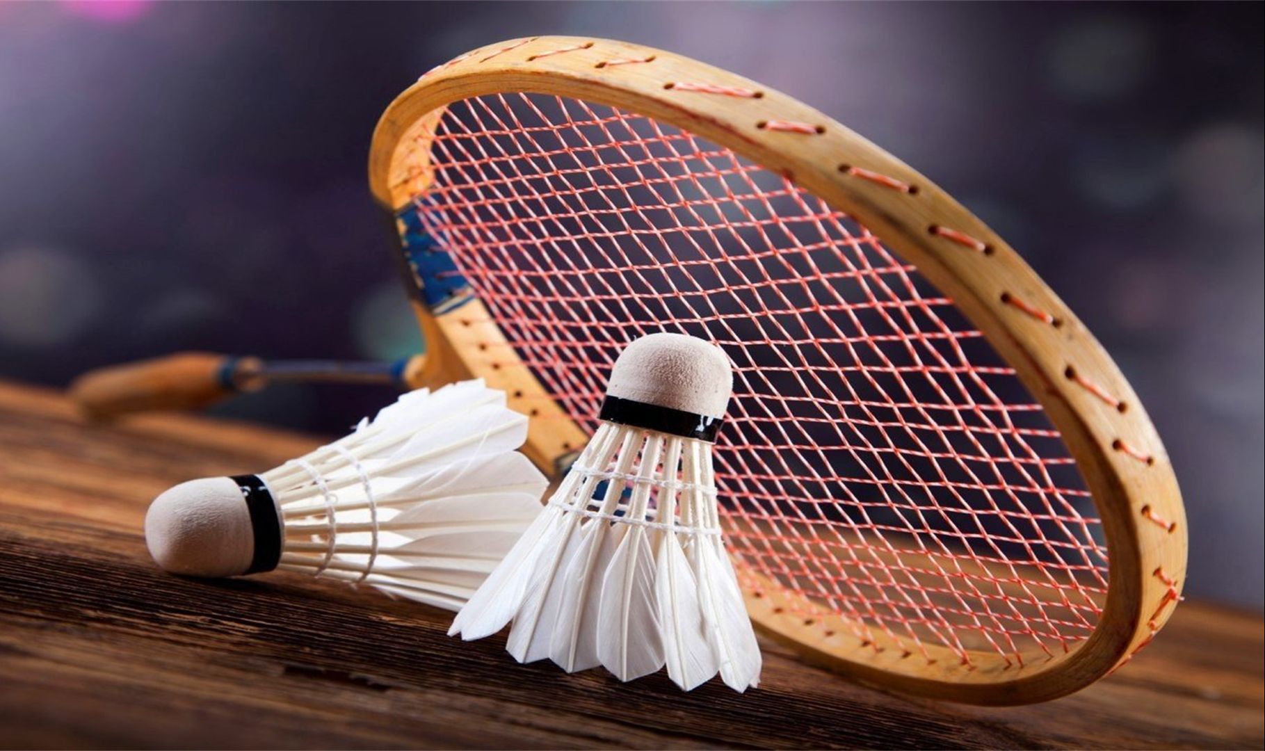 张本兄妹在 张本兄妹在