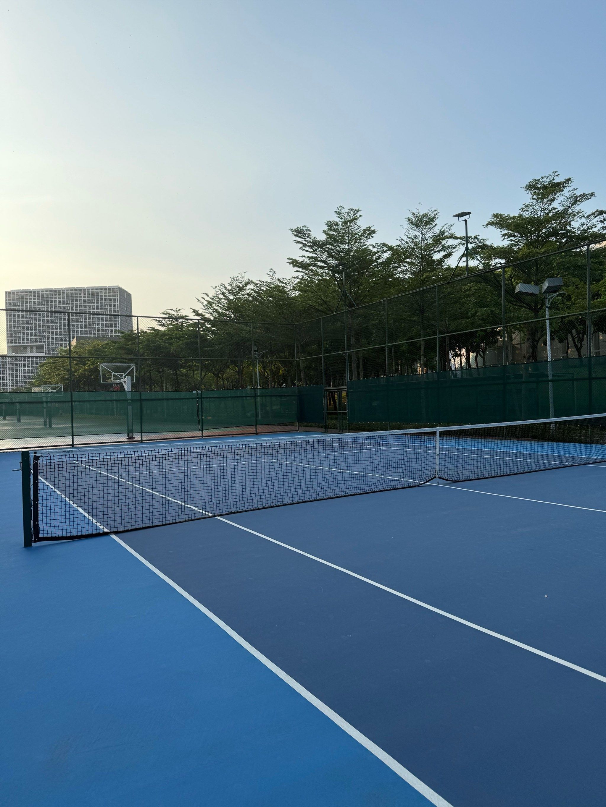 了新的活力 了新的活力