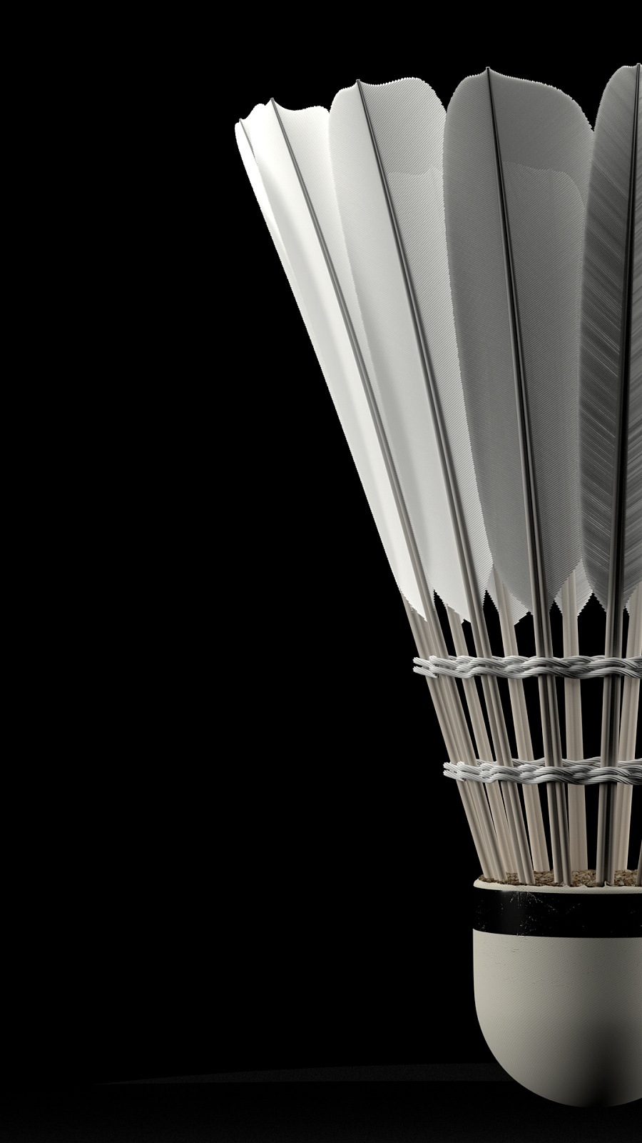 寨的新生代 寨的新生代