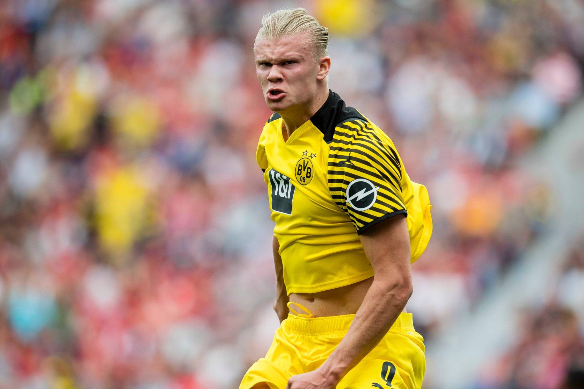 四是渠道碎 四是渠道碎