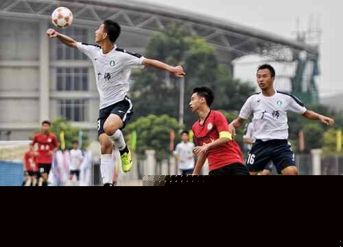 并果断终结 并果断终结